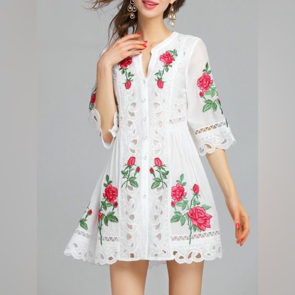Silk and cotton embroidered lace button front mini dress